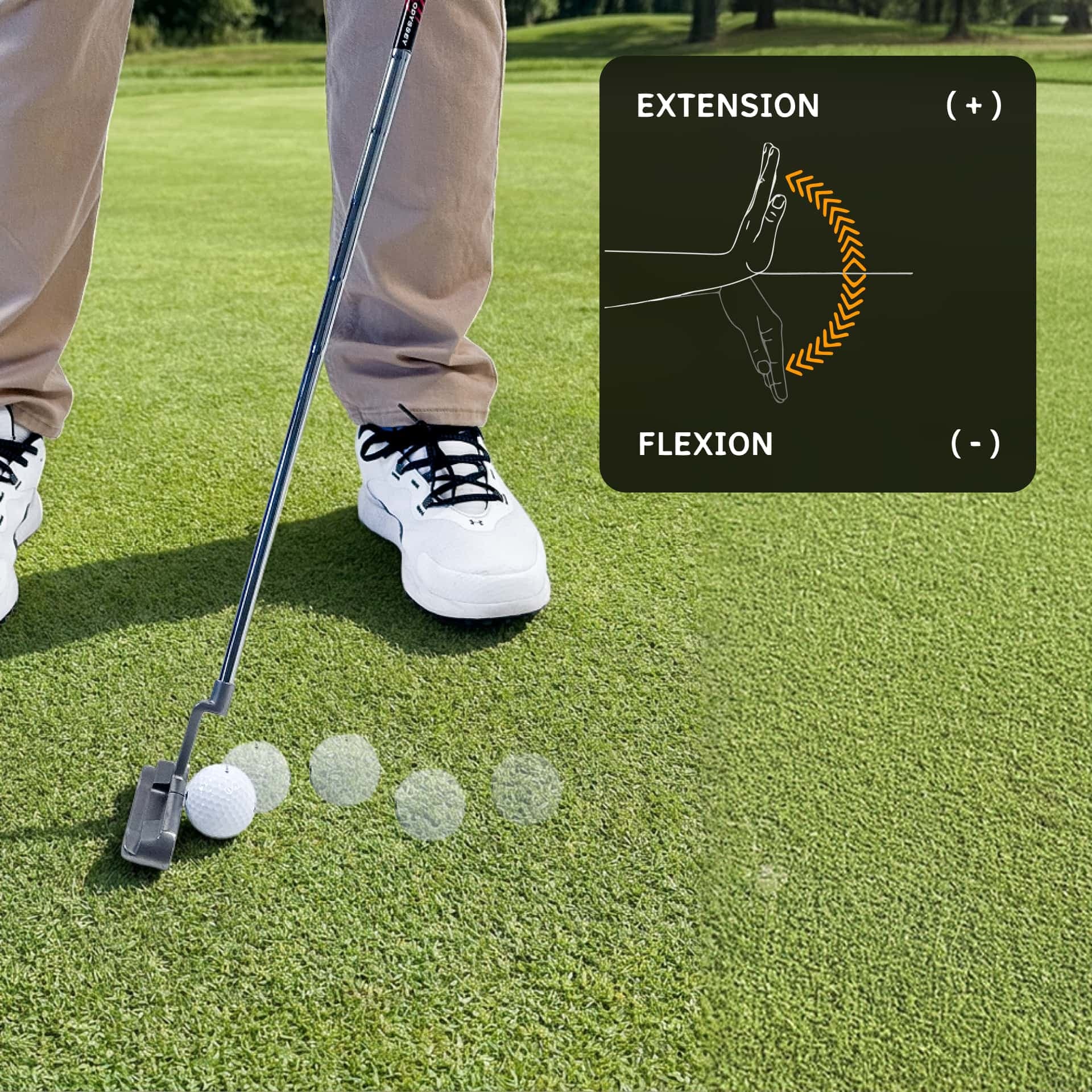 Flexion/Extension