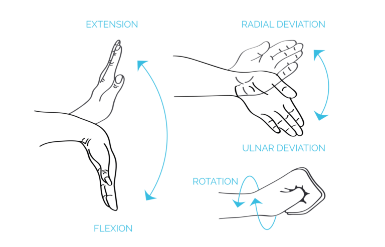 Diagram showing motions that influence wrist angles: Flexion/Extension, Radial/Ulnar Deviation, and Rotation