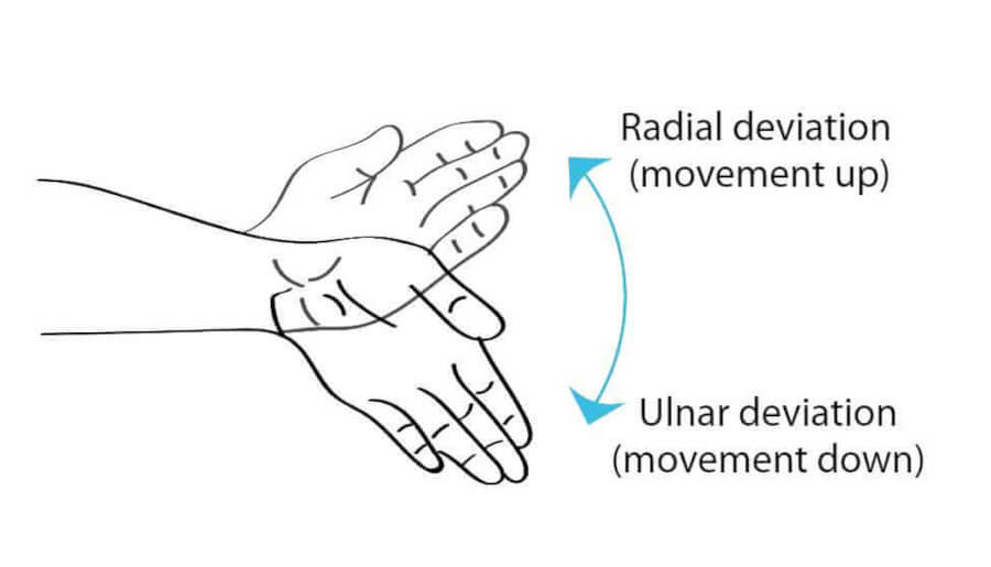 Ulnar deviation and radial deviation Dustin Johnson