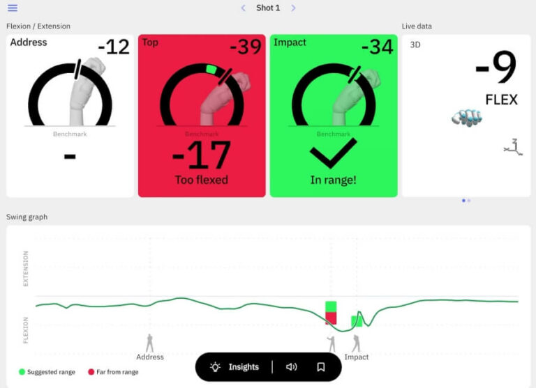 forearm rotation printscreen from Hackmotion app