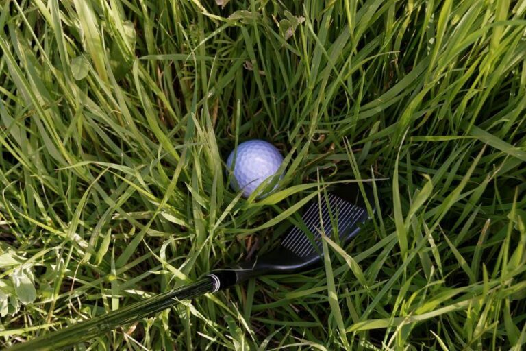 golf ball in the thick rough