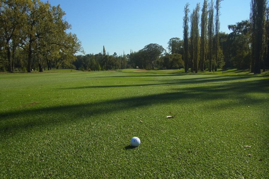 golf ball on golf course