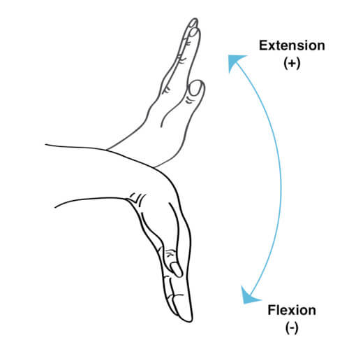 wrist motion flexion and extension