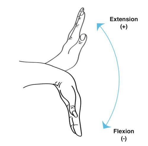 Wrist flexion deals and extension